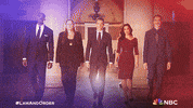 Nbc Peacock GIF by Law & Order