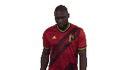 Rode Duivels Goal Sticker by Royal Belgian FA