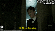 gotham GIF by Fox TV