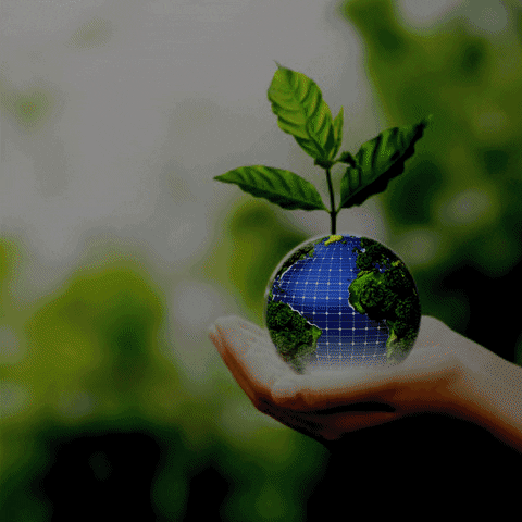 JasSunEdison giphyupload GIF