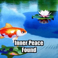 Wisdom Enlightenment GIF by TheConfishius