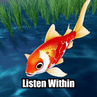 Self-Awareness Wisdom GIF by TheConfishius