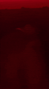 Asrm GIF by Bigcamiam