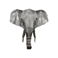 Elephant Sticker by RK Projects