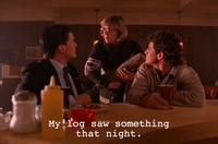 season 1 GIF by Twin Peaks on Showtime