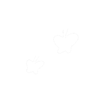 2828akko butterfly ちょうちょ チョウ 蝶々 Sticker