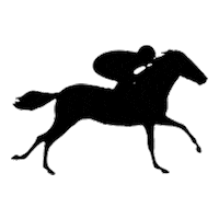 Horse4u run racing horse rider Sticker