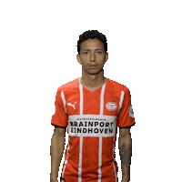 Football Celebrate Sticker by PSV