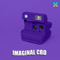 Camera Love GIF by Imaginal Biotech