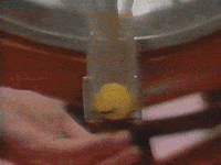 Je Loto GIF