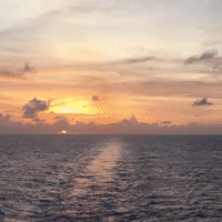 popsocial GIF by Brittlestar
