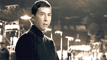 kung fu fight GIF