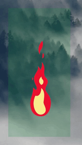 nafabyneerajkumar giphyupload GIF