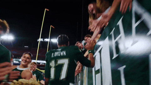 College Football GIF by USF Athletics