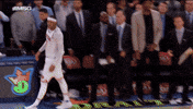 New York Knicks Basketball GIF by NBA