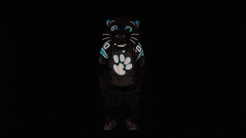 Football Sport GIF by Carolina Panthers