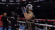 toprank fight boxing fighting espn GIF