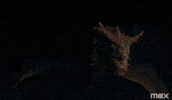 Team Black Dragon GIF by Game of Thrones