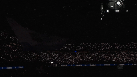 Football Soccer GIF by FC Schalke 04
