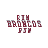 Go Broncos Sticker by Santa Clara Broncos
