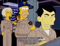 homer simpson lead GIF