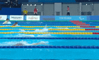 Paralympic Games Swimming GIF by International Paralympic Committee