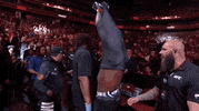 Mixed Martial Arts Sport GIF by UFC