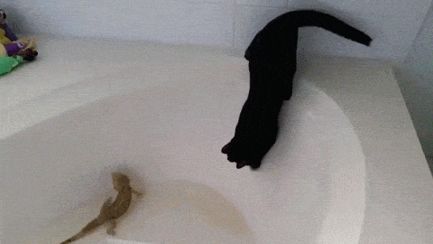 GIF by Demic