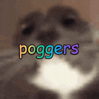 Awesome Pog GIF