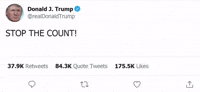 Donald Trump Usa GIF