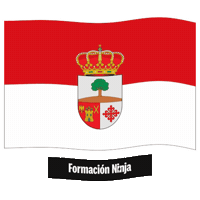 Bandera Andalucia Sticker by Formación Ninja