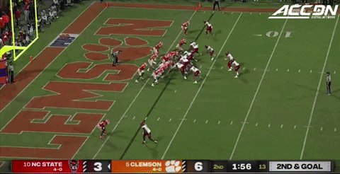 therealessad giphygifgrabber touchdown clemson nc state GIF