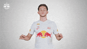 Football Sport GIF by FC Red Bull Salzburg