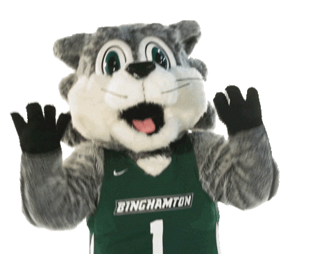 Sunybinghamton Sticker by Binghamton University