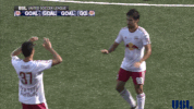 high five new york red bulls GIF by USL