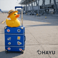 Flying Not Available GIF by Ohayu eSIM