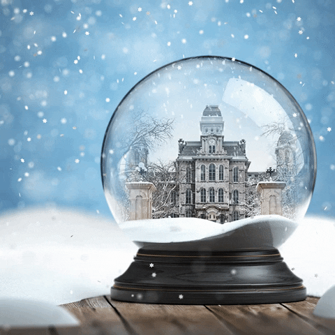 Snow GIF by Syracuse University
