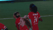 Celebrate Womens Soccer GIF by National Women's Soccer League