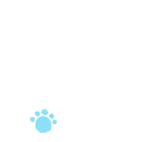 walking bear Sticker
