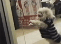 music video lose my cool GIF by Amber Mark