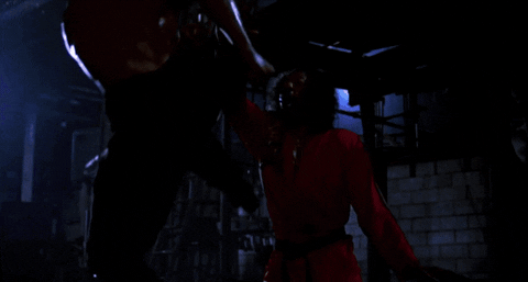 kung-fu GIF by Coolidge Corner Theatre