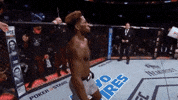 ufc 231 sport GIF by UFC