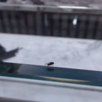 GIF by andymilonakis