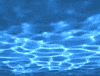 water swimming GIF by Allison House