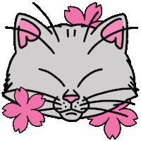 Cherry Blossom Cat Sticker by Jasi