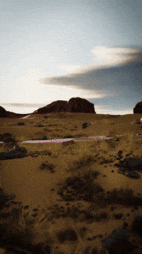 Mmo Wow GIF by Youtooz