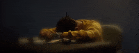123 GIF by Smokepurpp