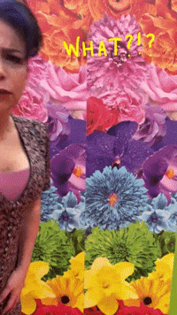 What GIF by Nika Stewart