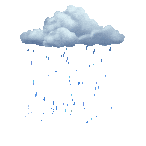 Realistic Effects Rain Sticker by chris timmons