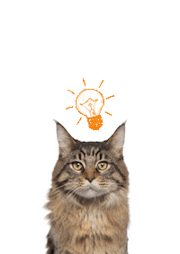 Cat Sticker by vetconcept